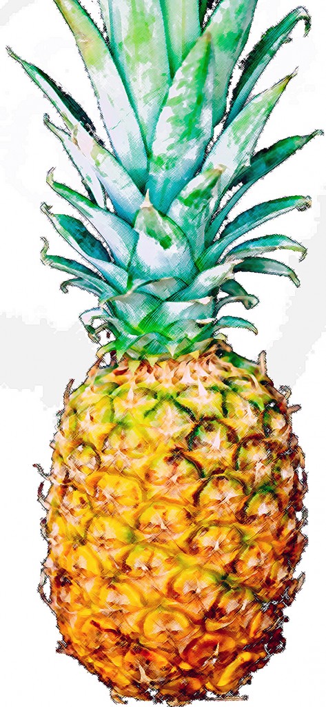 picture of a pineapple